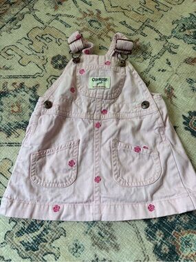OshKosh B’gosh Girls Pink Floral Overall Dress 9M Embroidered Roses
